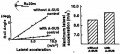 Thumbnail for version as of 10:03, 11 February 2014