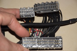 Field AH-5 Harness photo 11.jpg