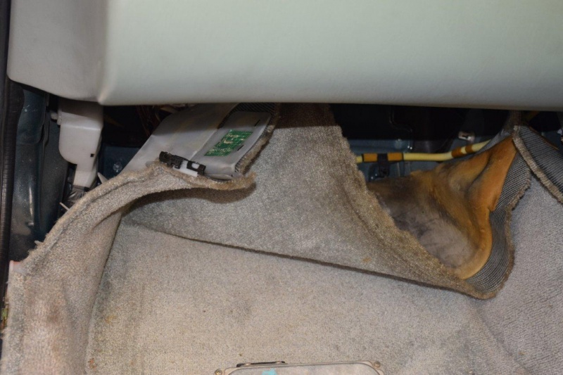 File:ECU carpet.jpg