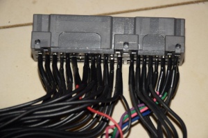 Field AH-5 Harness photo 2.jpg